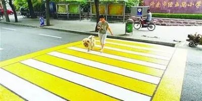 道路交通標(biāo)志和標(biāo)線 道路交通標(biāo)志和標(biāo)線